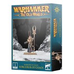 Games Workshop Warhammer The Old World Warriors of Chaos Sorcerer of Chaos