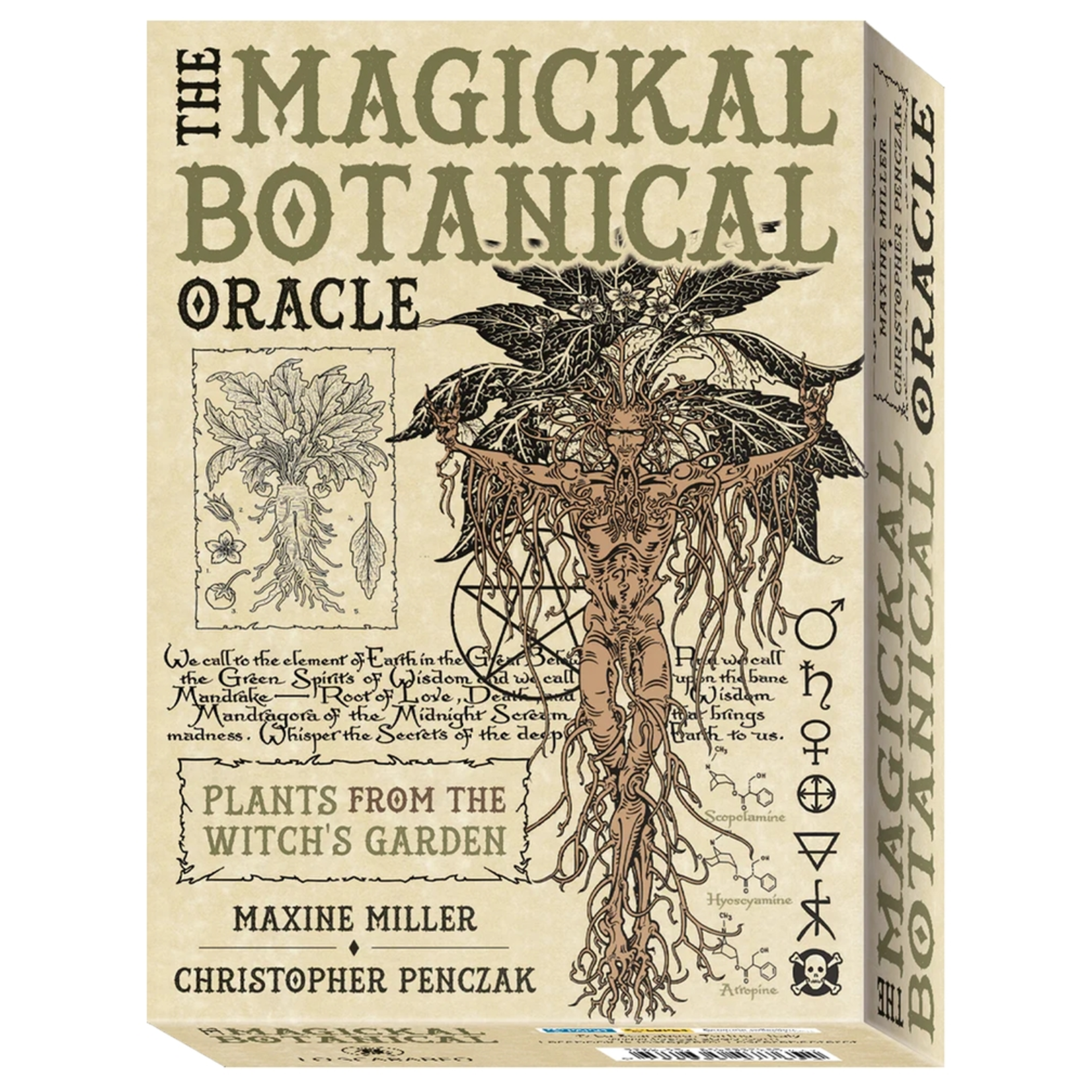 Lo Scarabeo The Magickal Botanical Oracle Cards