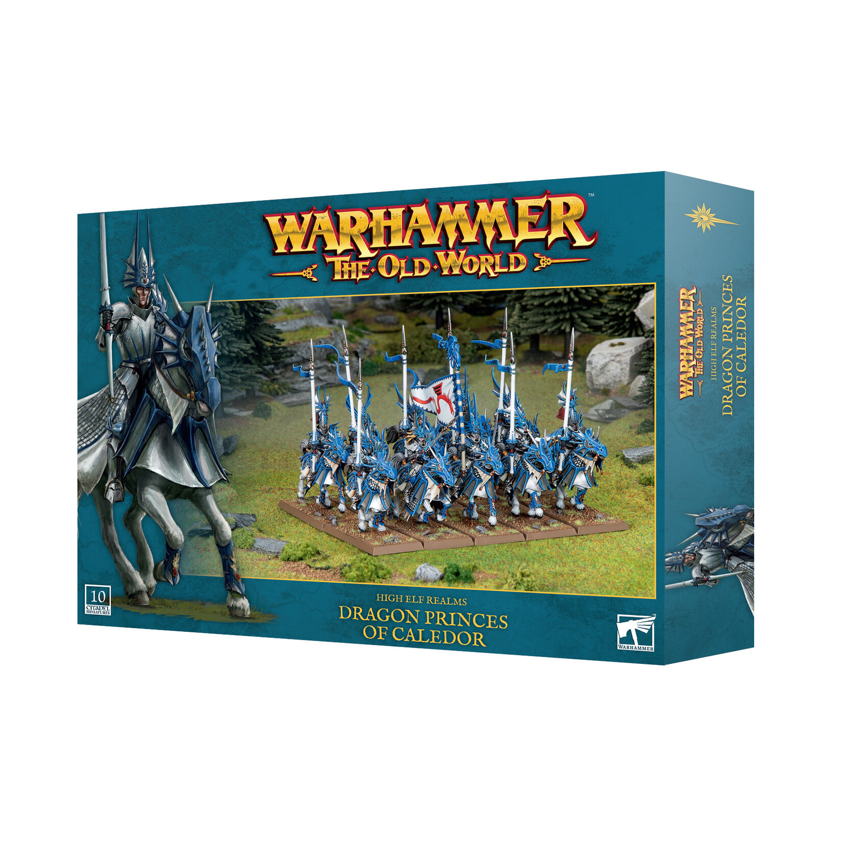 Games Workshop Warhammer The Old World High Elf Realms Dragon Princes of Caledor