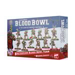 Games Workshop Blood Bowl Bretonnian Brionne Barons Team