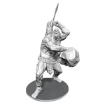 WizKids Dungeons and Dragons Nolzur's Marvelous Minis Brohg