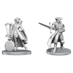 WizKids Critical Role Unpainted Minis Jester Lavorre and Fjord Stone