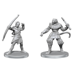 WizKids Pathfinder Battles Deep Cuts Elf Hunter and Catfolk Bandit