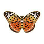 Magia Design Vibrant Butterfly Enamel Pin Orange