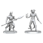 WizKids Pathfinder Battles Deep Cuts Vordine and Pitborn Rogue