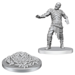 WizKids Dungeons and Dragons Nolzur's Marvelous Minis Rot Grubs and Rot Grub Victim