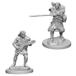 WizKids Dungeons and Dragons Nolzur's Marvelous Minis Human Male Bard