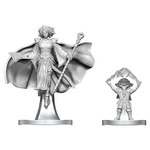 WizKids Dungeons and Dragons Nolzur's Marvelous Minis Gnome Warlock & Aasimar Wizard