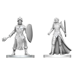 WizKids Dungeons and Dragons Nolzur's Marvelous Minis Black Gauntlet and Zhentilar Paladin of Bane