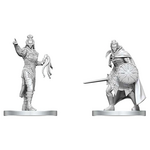 WizKids Dungeons and Dragons Nolzur's Marvelous Minis Drow Elite Warrior and Drow Priestess of Lolth