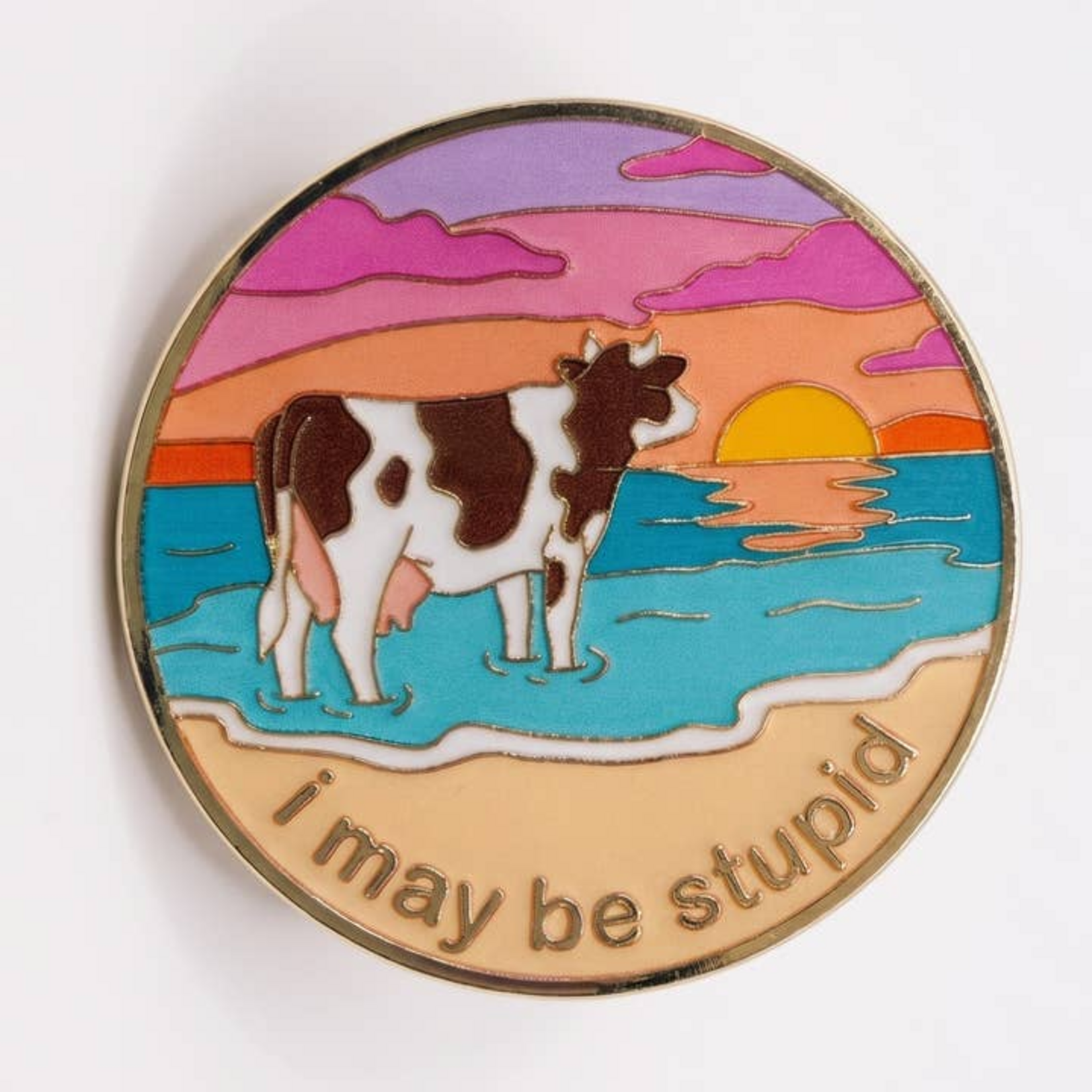 Strike Gently Co I May Be Stupid Enamel Pin