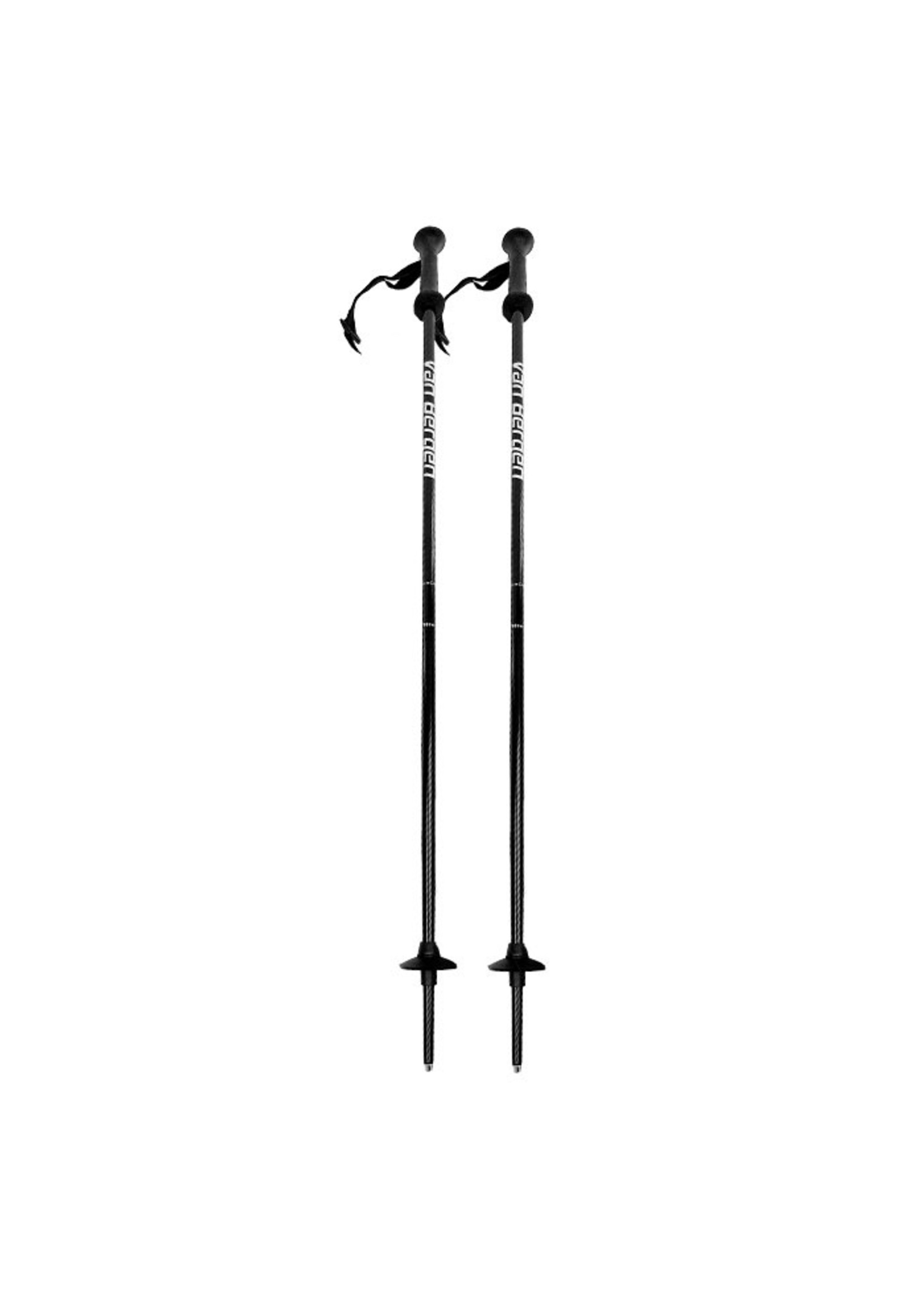 VAN BERGEN JUNIOR ALPINE SKI POLES