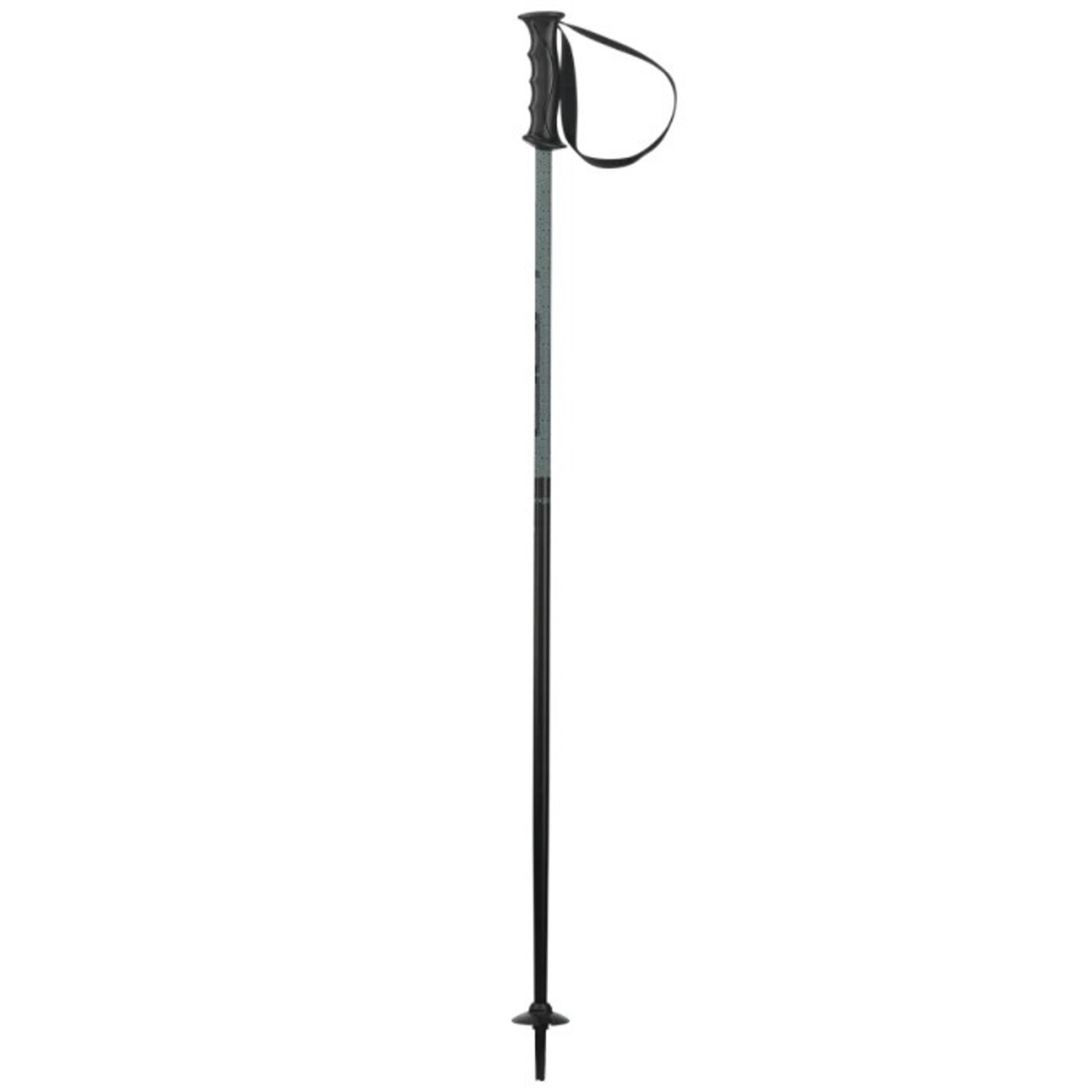 ELAN ELAN HOT ROD ALPINE SKI POLES