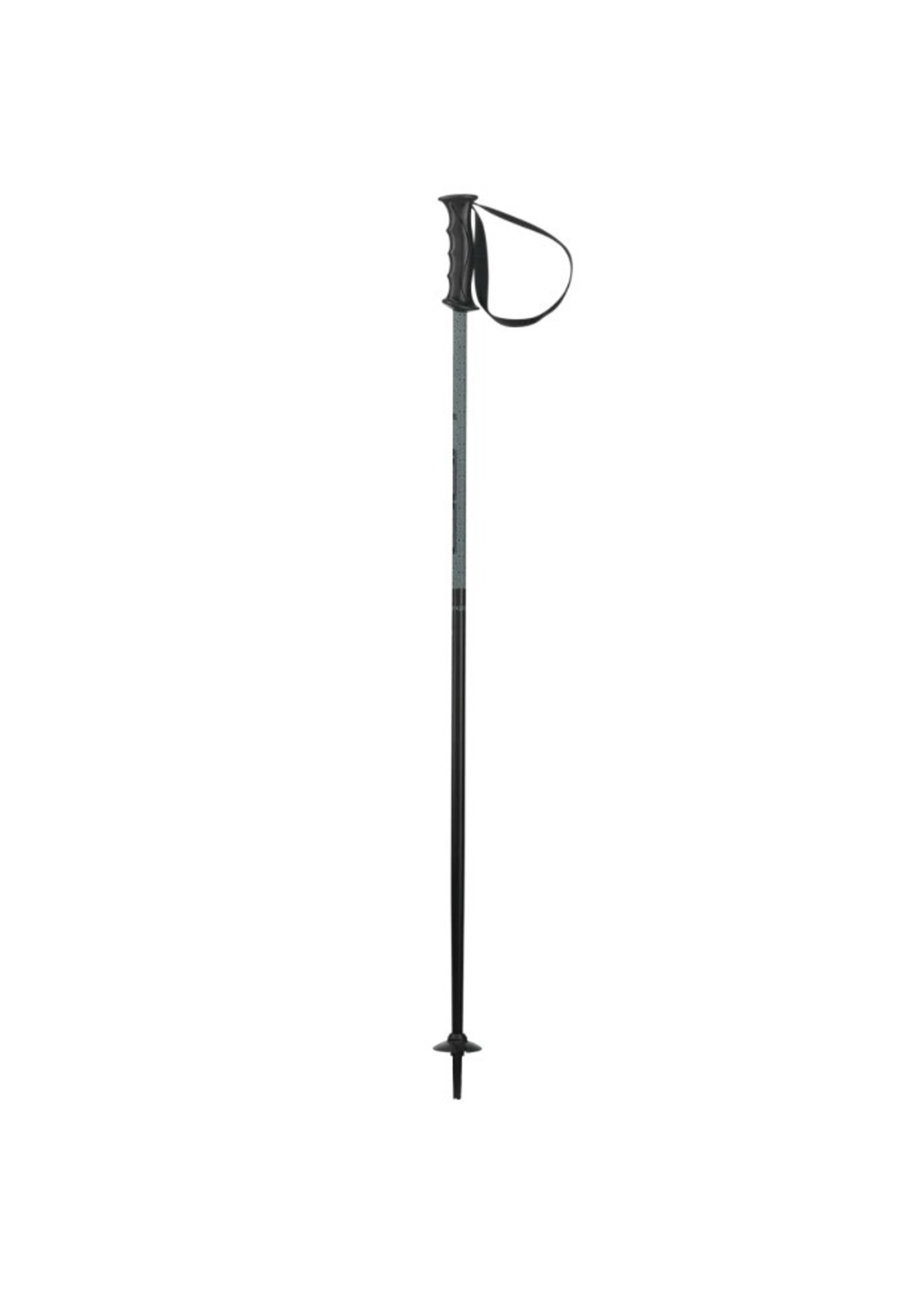 ELAN ELAN HOT ROD ALPINE SKI POLES