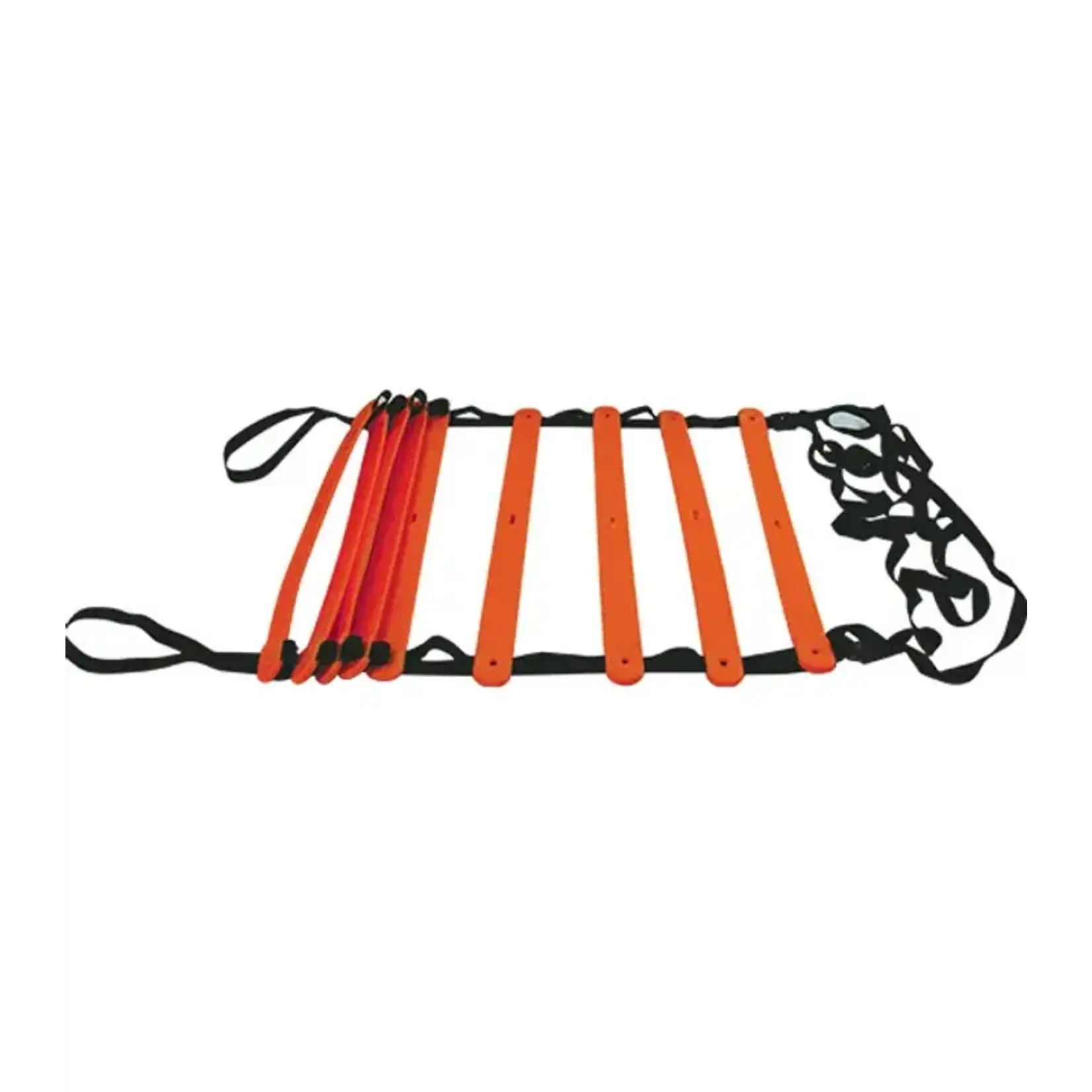 Eletto ELETTO ÉCHELLE D'AGILITÉ 4M