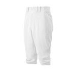 Mizuno MIZUNO PREMIER SHORT PANT