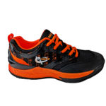 GECKO SOULIER DE DEK TARENTE