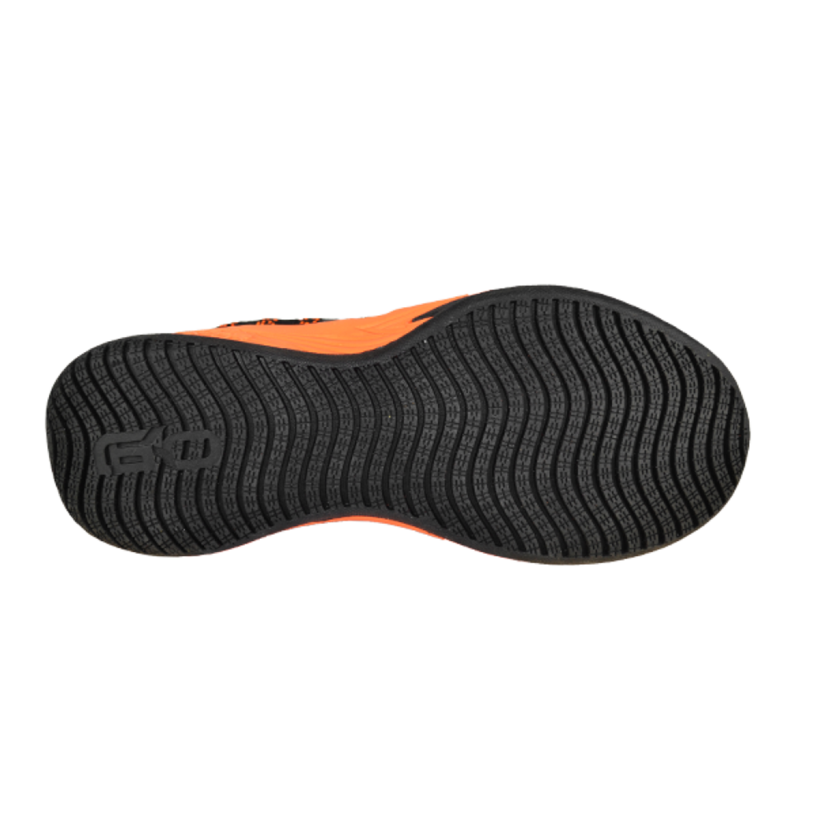 GECKO SOULIER DE DEK TARENTE