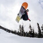 Planche à neige
