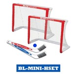 Blue Sports Mini Hockey Goal Set