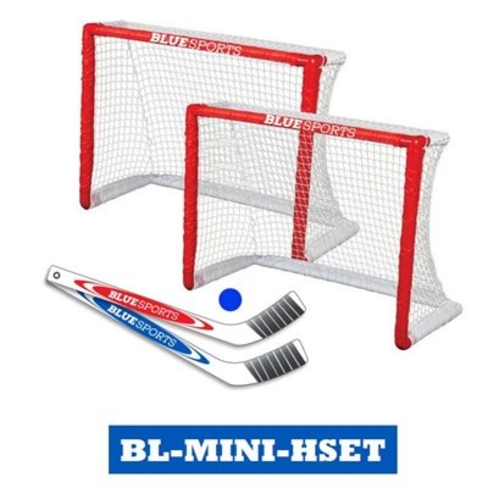 Blue Sports Mini Hockey Goal Set