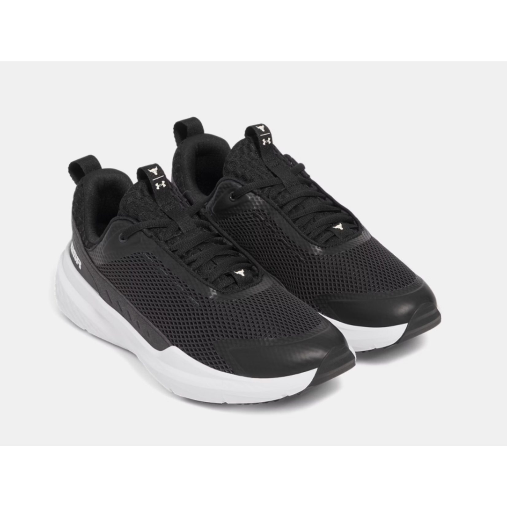 Under Armour UA SHOES MEN PROJECT ROCK BSR 5