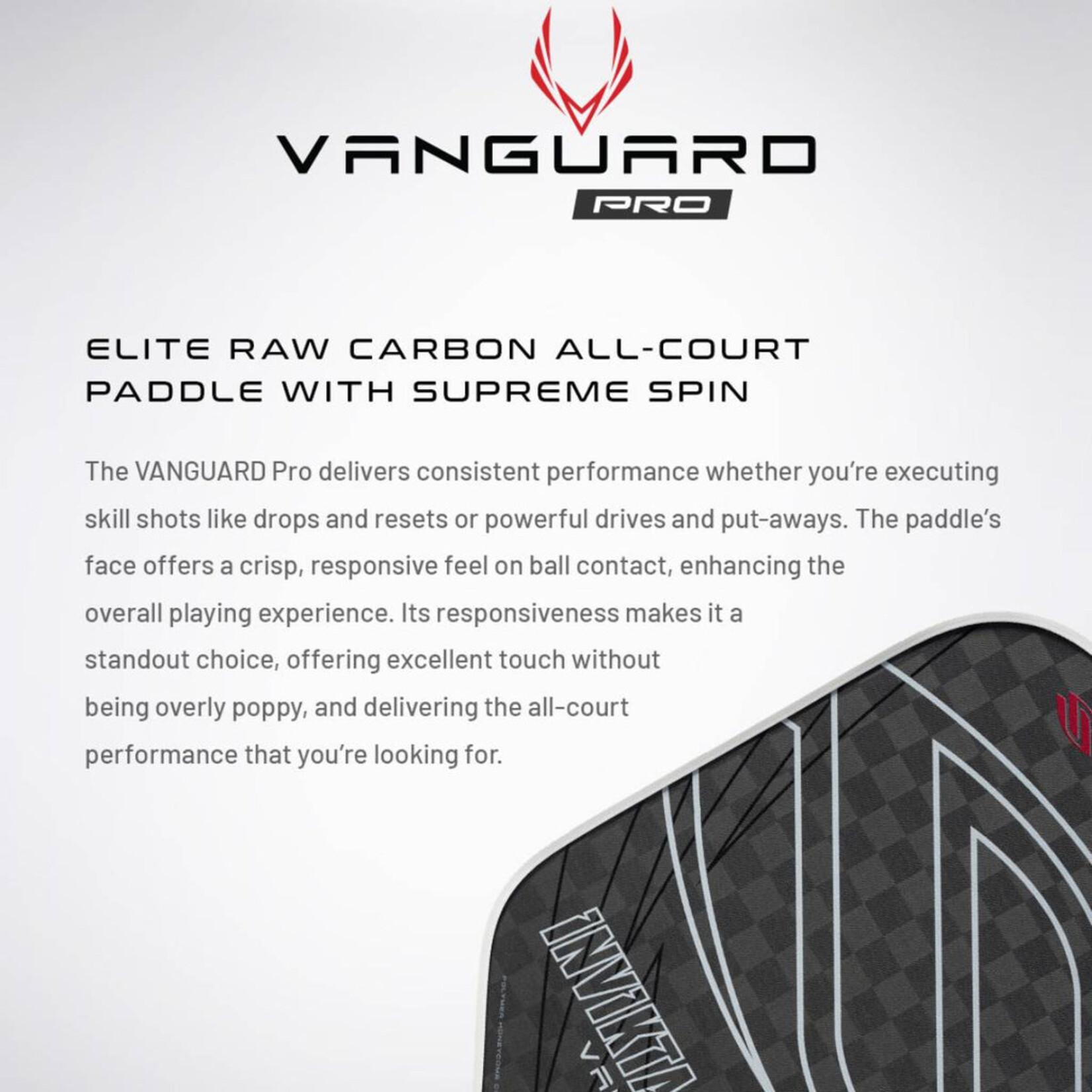SELKIRK RAQUETTE VANGUARD PRO INVIKTA RAW CARBON