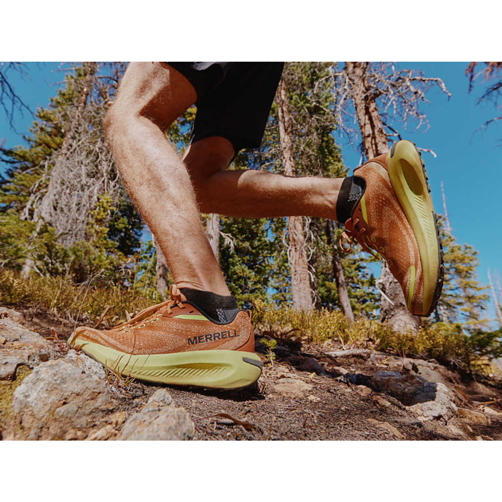 Merrell MERREL MORPHLITE HOMME