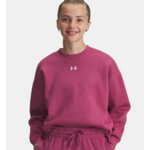 Under Armour UA RIVAL FLEECE