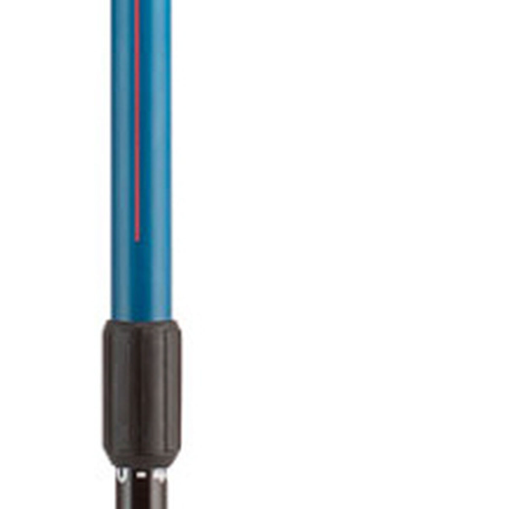 Rossignol Copy of ROSSIGNOL BATON DE SKI ALPIN TELESCOPIQUE JR