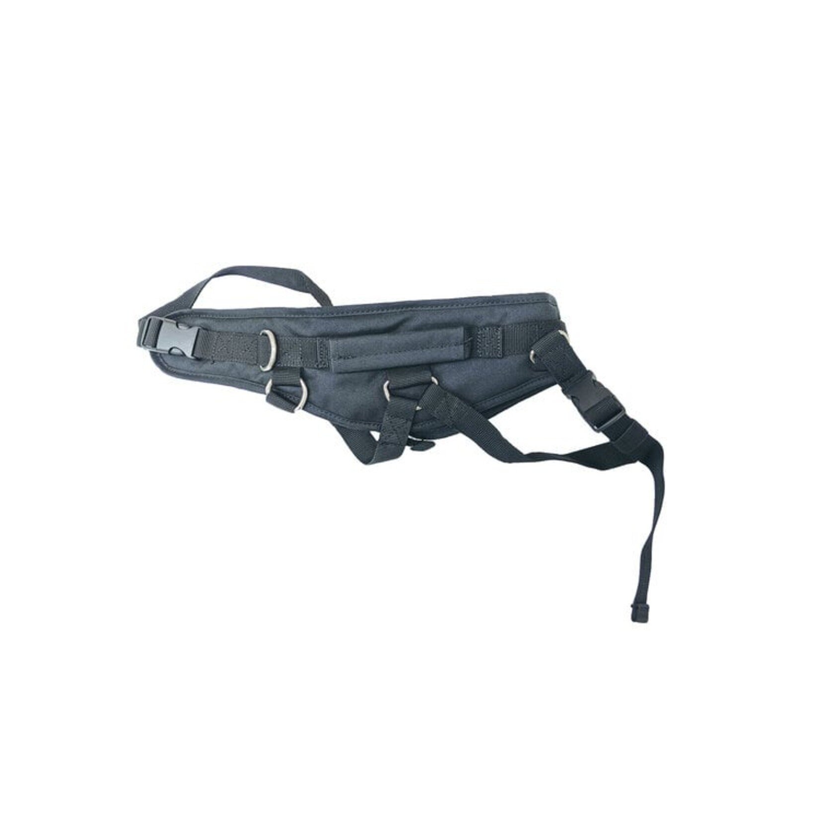 Van Bergen HARNAIS D'APPRENTISSAGE