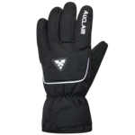 auclair AUCLAIR GANT HORIZON