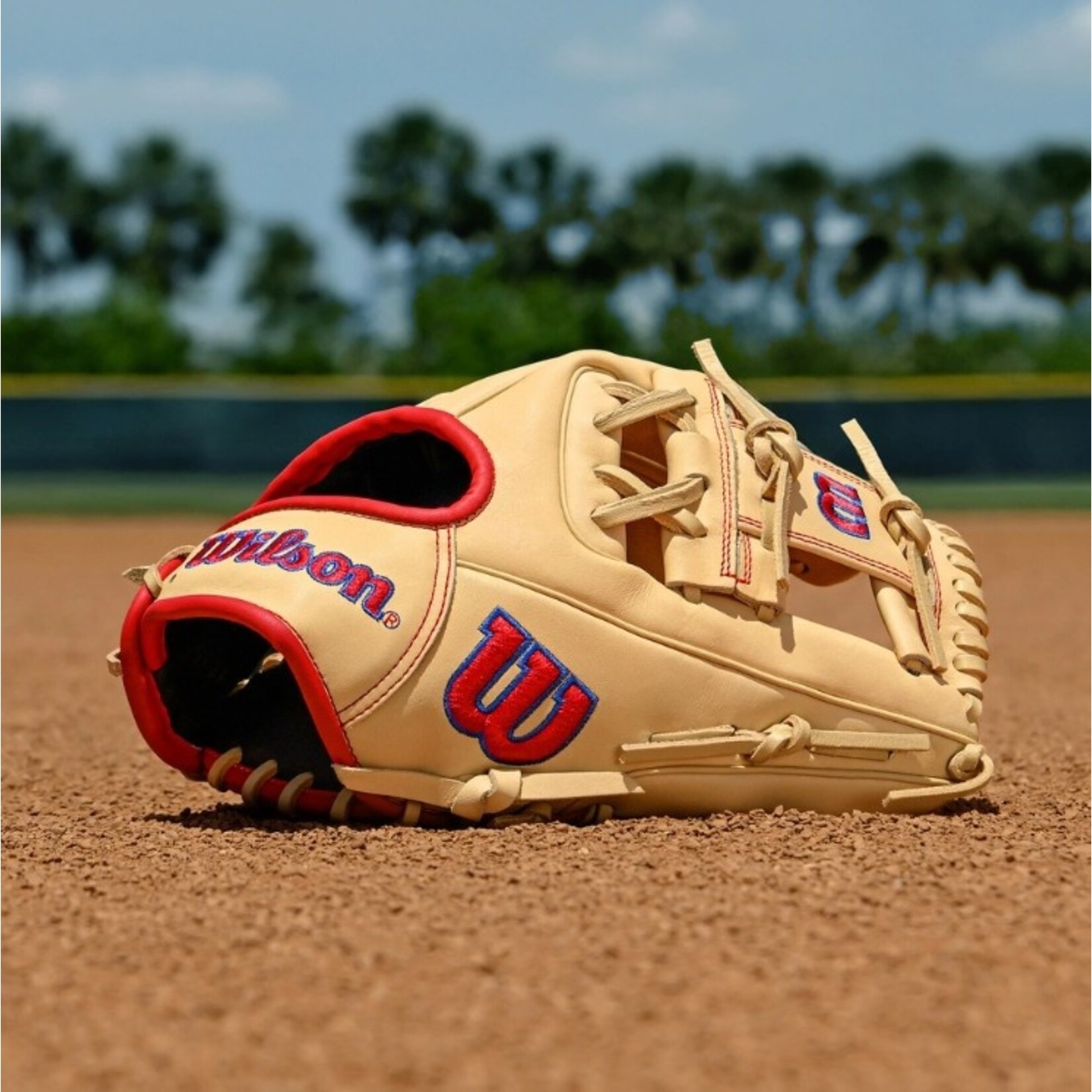 WILSON WILSON A1000™ 1975 (IF) 11.75''