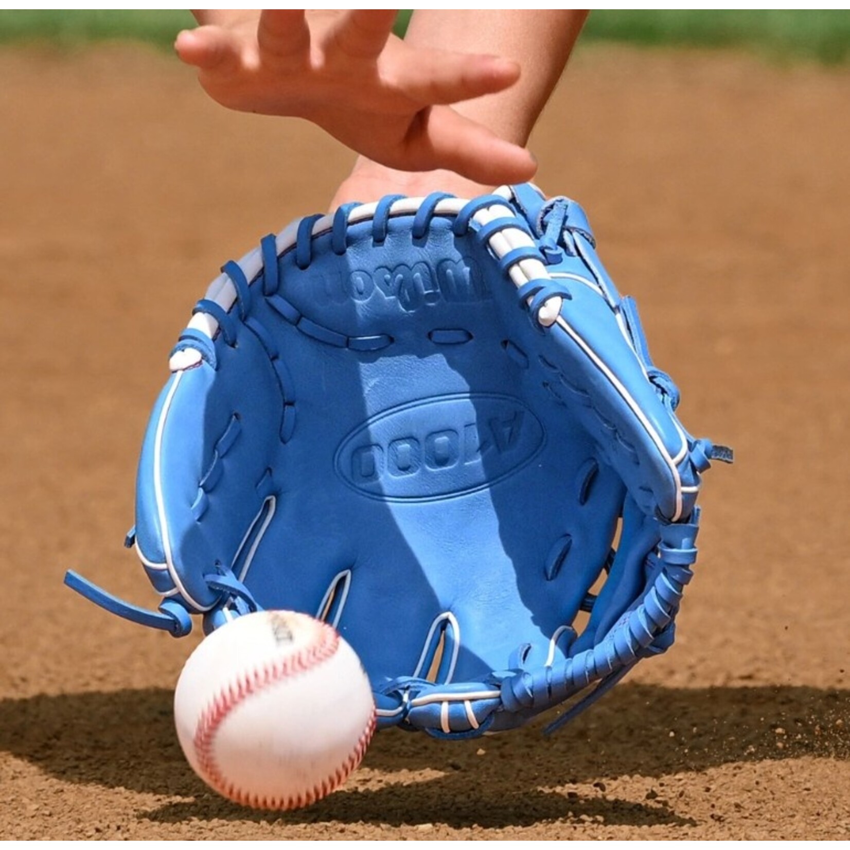 WILSON WILSON A1000™ 1786 (IF) 11.5''