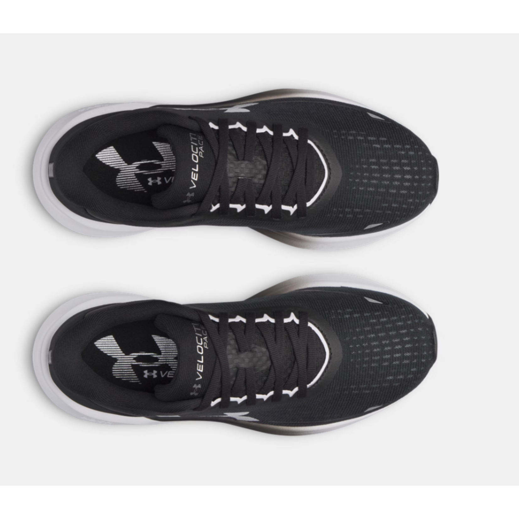 Under Armour UA CHAUSSURE VELOCITI PACE WN