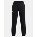 Under Armour UA ICON FLEECE JOGGER