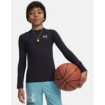 UA HG Armour LS