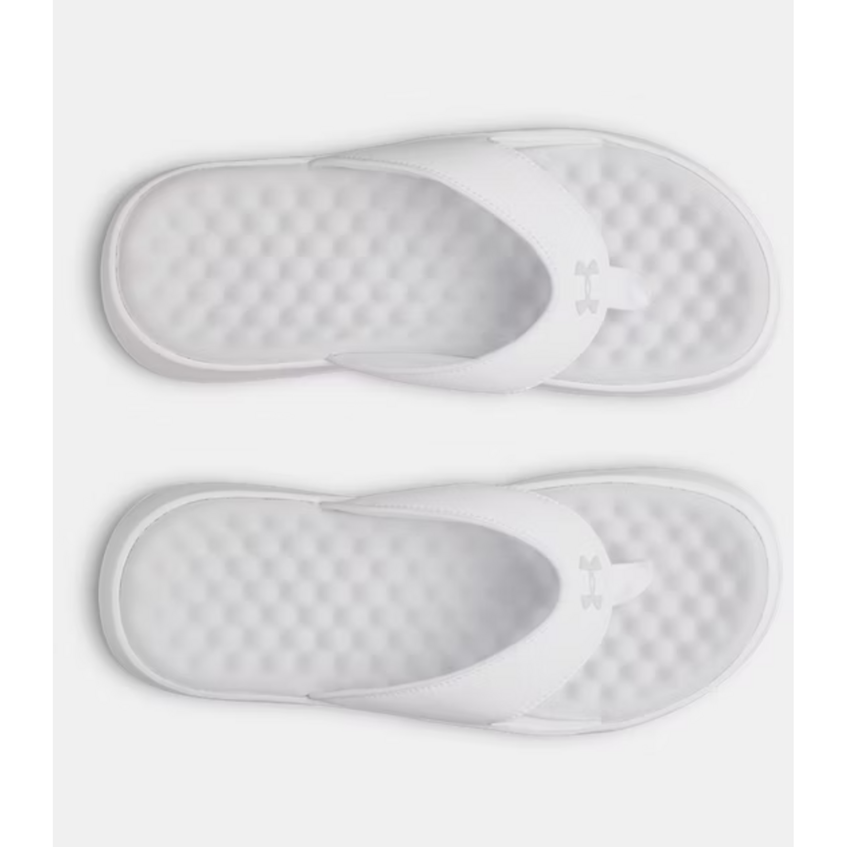 Under Armour UA IGNITE PRO 8 T SLIDES WN