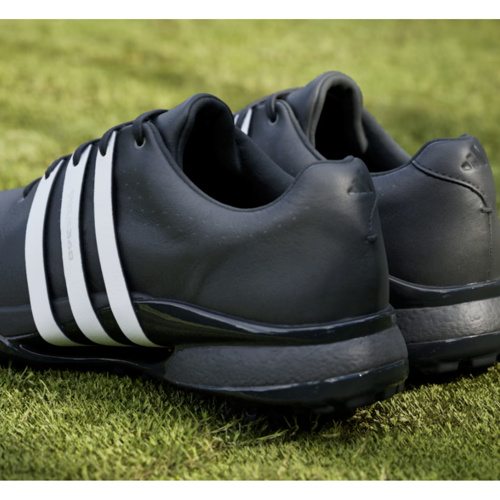 Adidas ADIDAS CHAUSSURES DE GOLF TOUR360 24