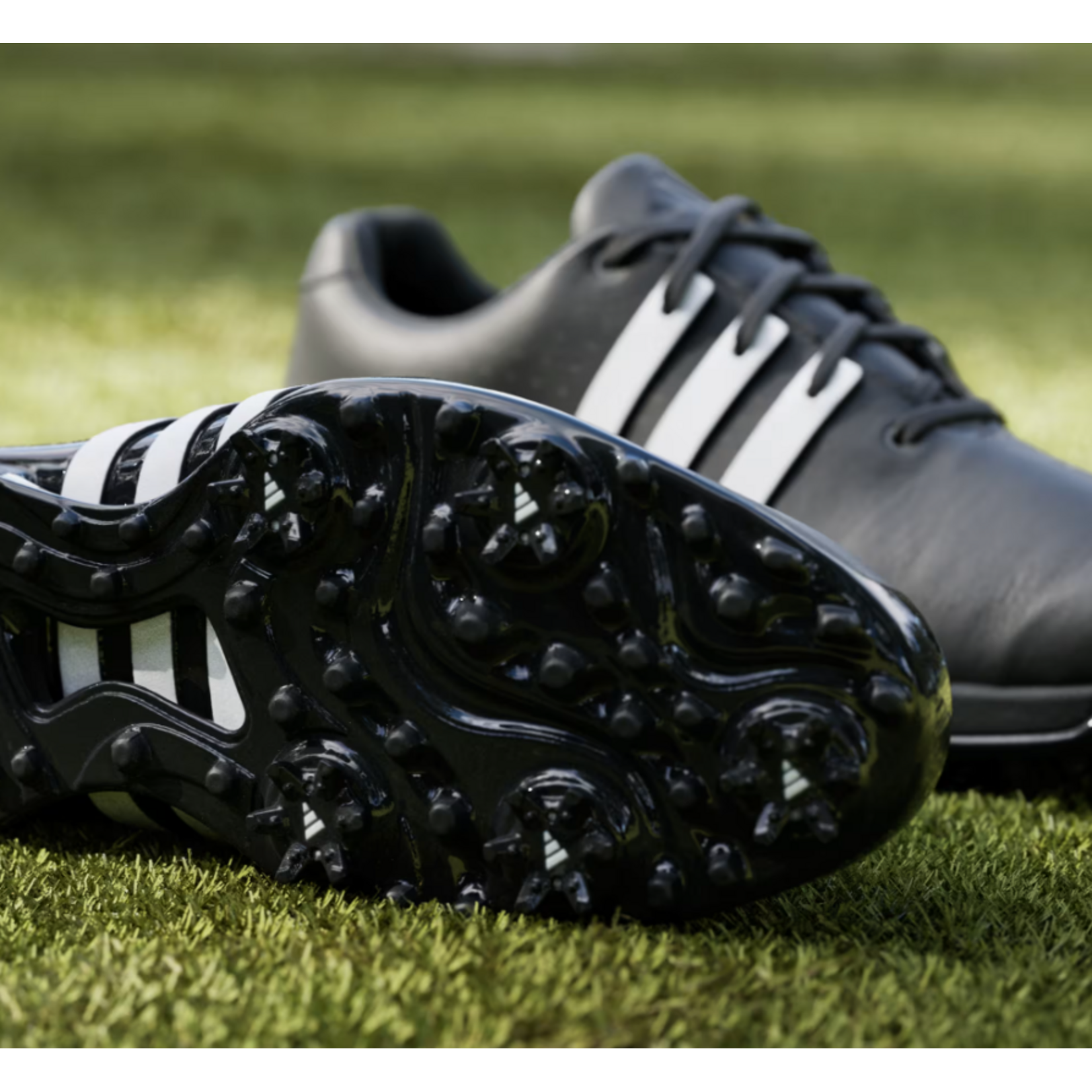 Adidas ADIDAS CHAUSSURES DE GOLF TOUR360 24