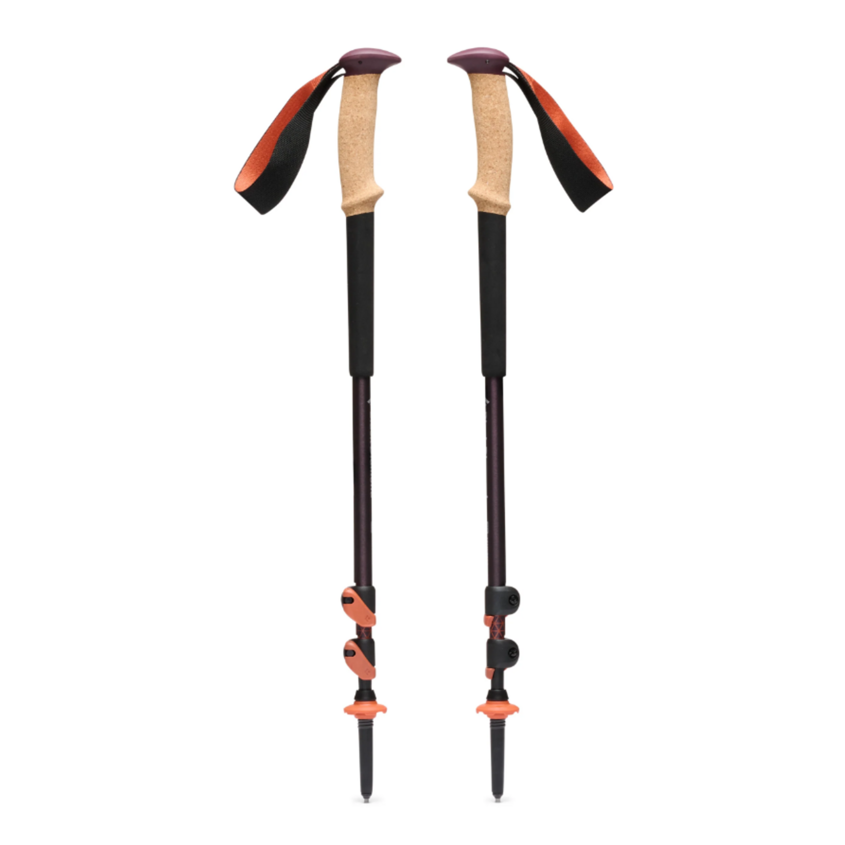 BD BATONS DE RANDONNÉE TRAIL CORK ALL SIZE