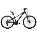 DCO DCO VÉLO X ZONE 260S
