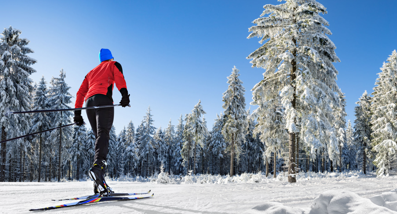 Services de ski et snowboard - Ambiance Sports