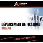 DÉPLACEMENT DE FIXATION ALPINE