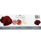 TRIPLE X BRANDS THE TRAY DELUXE PREMIUM 4/1 PEDI SPA - ROSE