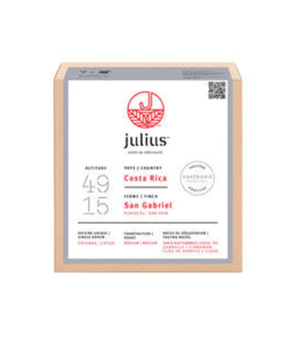 Julius Tarte au Pomme-Canelle-Clou Girofle Café 7 sachets de 12g