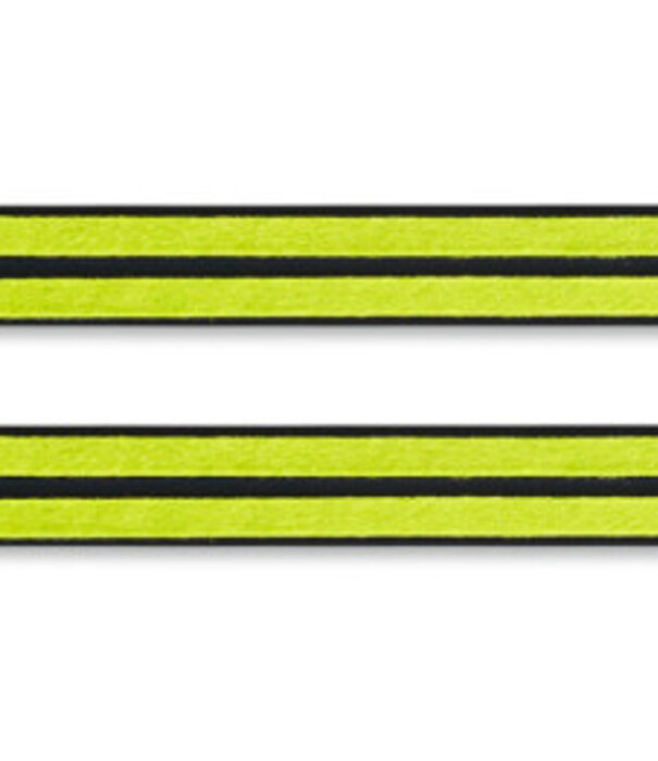 Fischer Twin Skin Pro