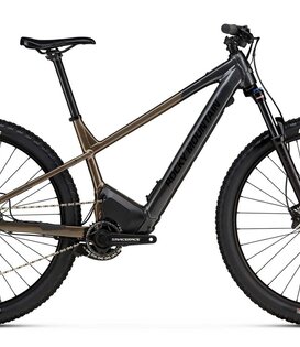 Rocky Mountain Fusion 10 Powerplay