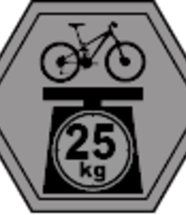 BUZZRACK SCORPION H 2 VELOS