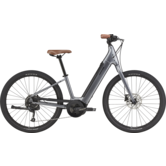 Cannondale Adventure Neo 4